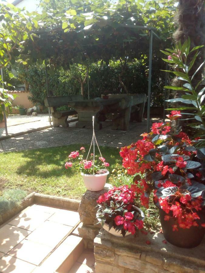Apartments Sven-Marino بوريتش المظهر الخارجي الصورة